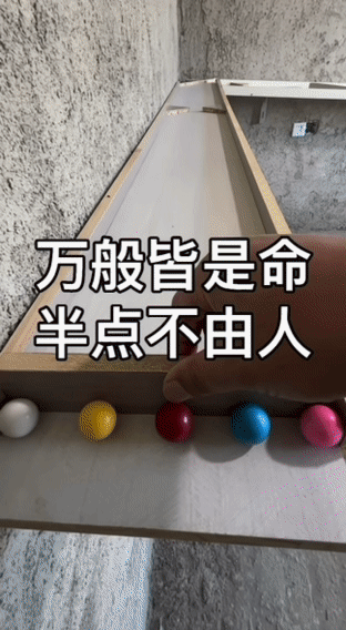天天盈球网-看到郑钦文落泪,我忍不住站出来说几句话