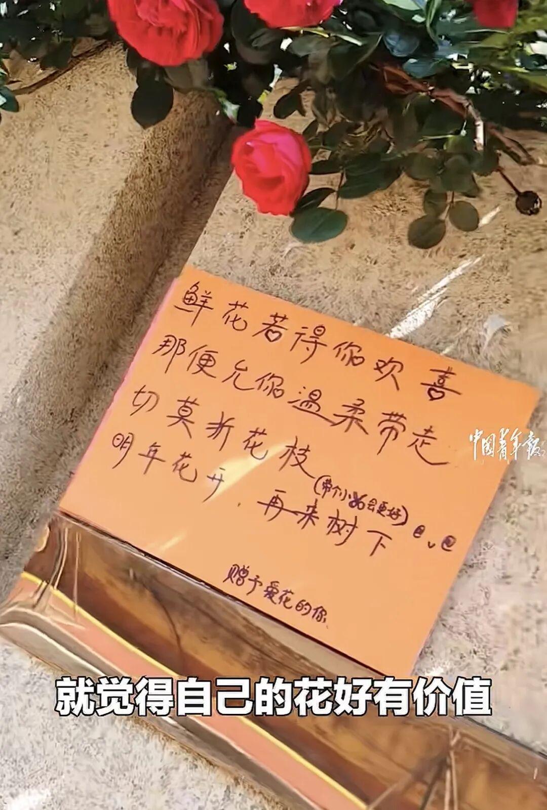 天天盈球网-看到郑钦文落泪,我忍不住站出来说几句话